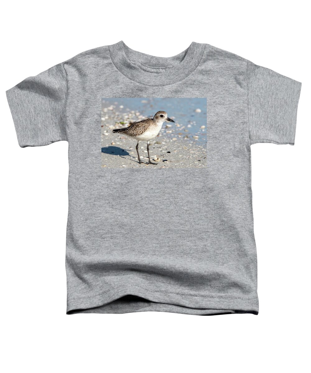 Grey Plover Toddler T-Shirt featuring the photograph Black-bellied Plover at the Shore by Bradford Martin