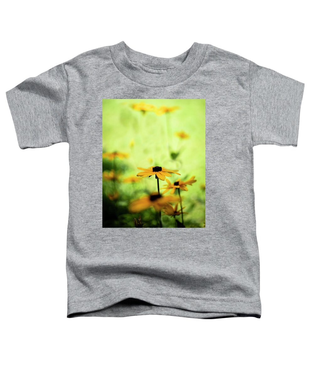 North Carolina (nc) Toddler T-Shirt featuring the photograph Black-eyed Susans in Sun and Shade by Charles Floyd