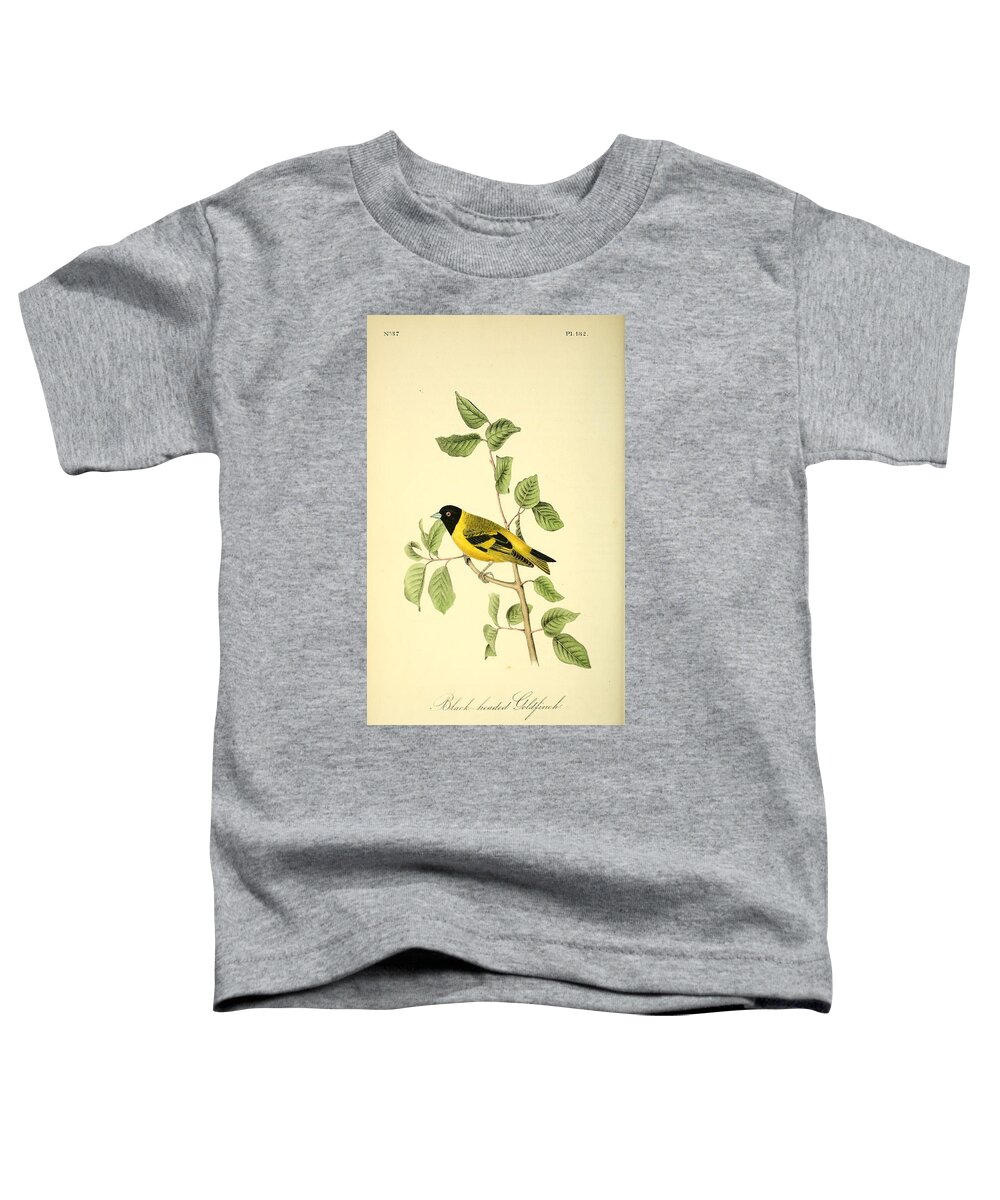 Birds Toddler T-Shirt featuring the mixed media Black headed Goldfinch by World Art Collective