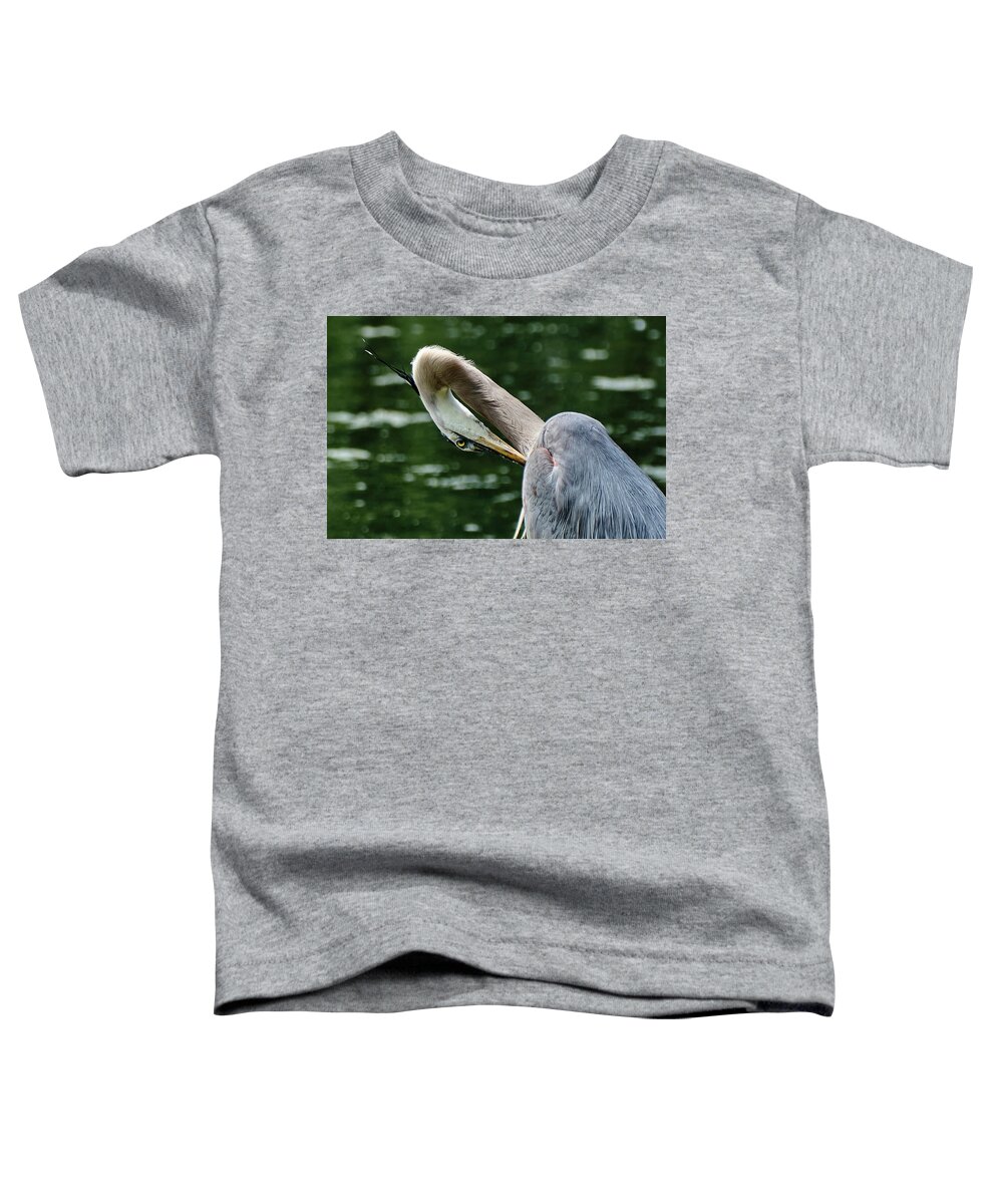 Grand Héron Toddler T-Shirt featuring the photograph Blue heron close up by Carl Marceau
