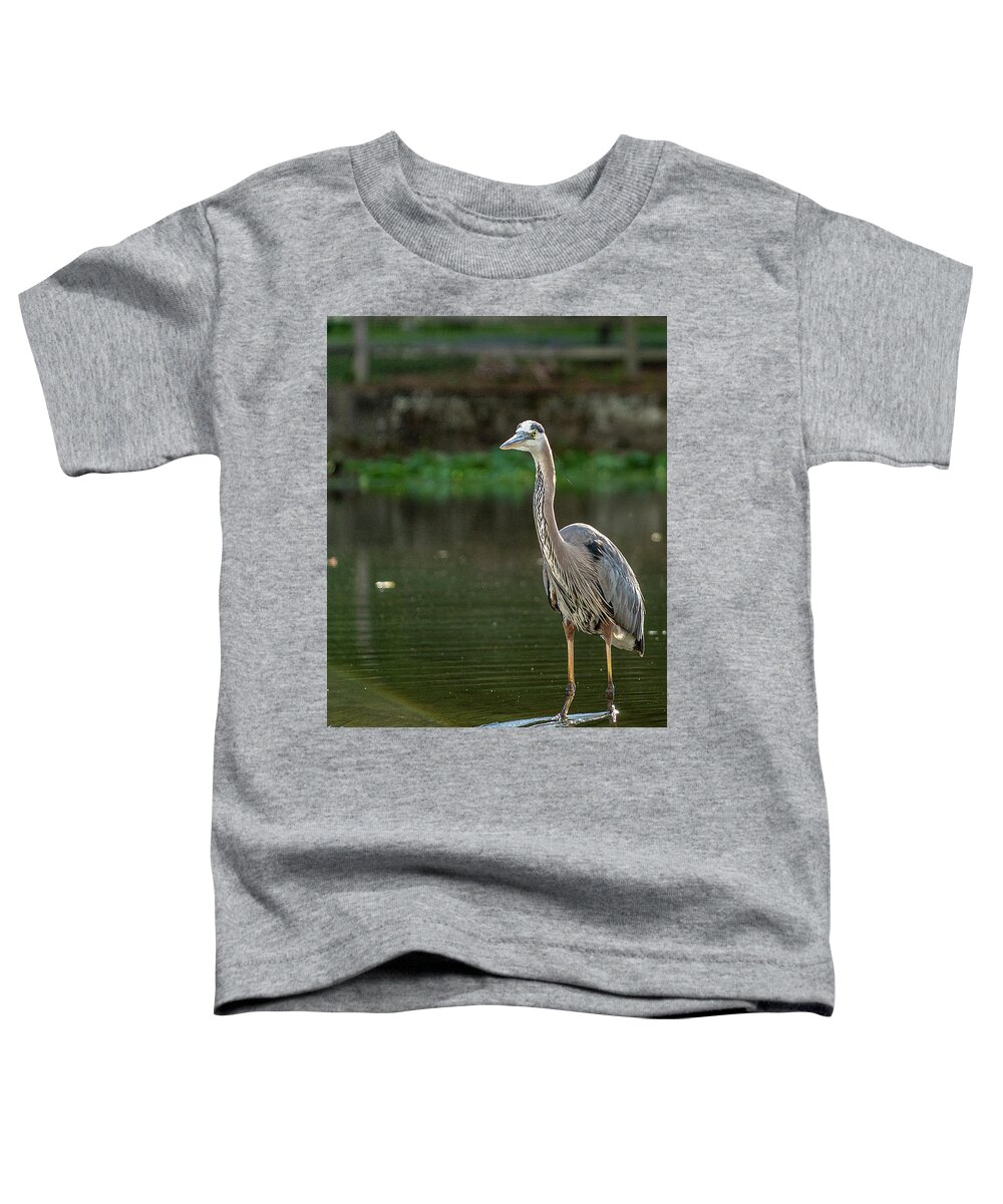 Blue Heron Toddler T-Shirt featuring the photograph Blue Heron in Clinton Township by GeeLeesa