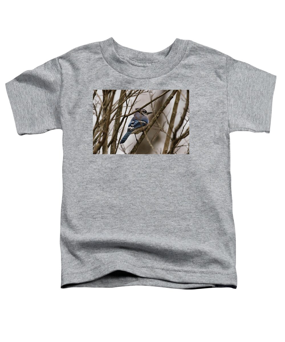 Blue Jay Toddler T-Shirt featuring the photograph Blue Jay in the Tree by Dorothy Cunningham