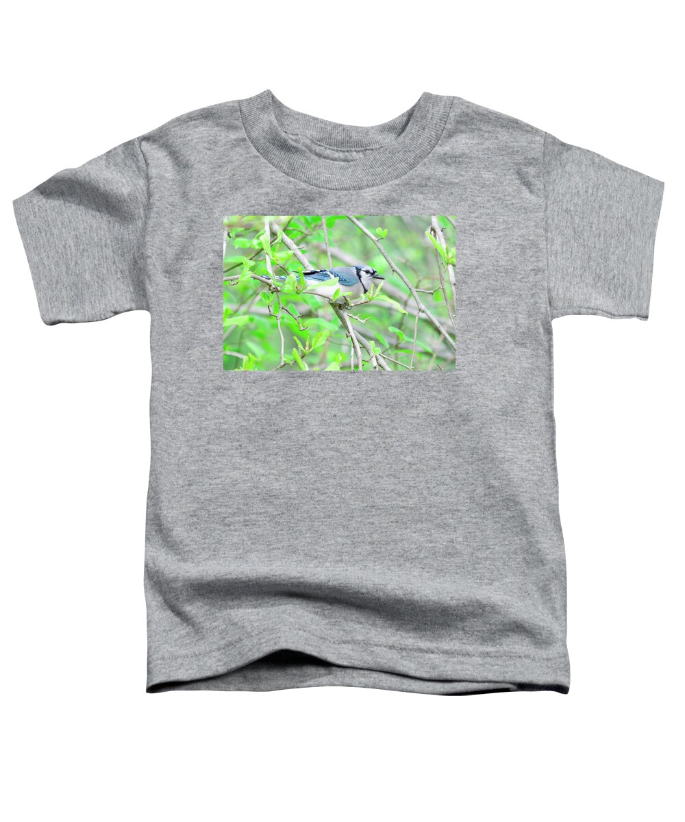 Bird Toddler T-Shirt featuring the photograph Blue Jay on a Branch by Amelia Pearn