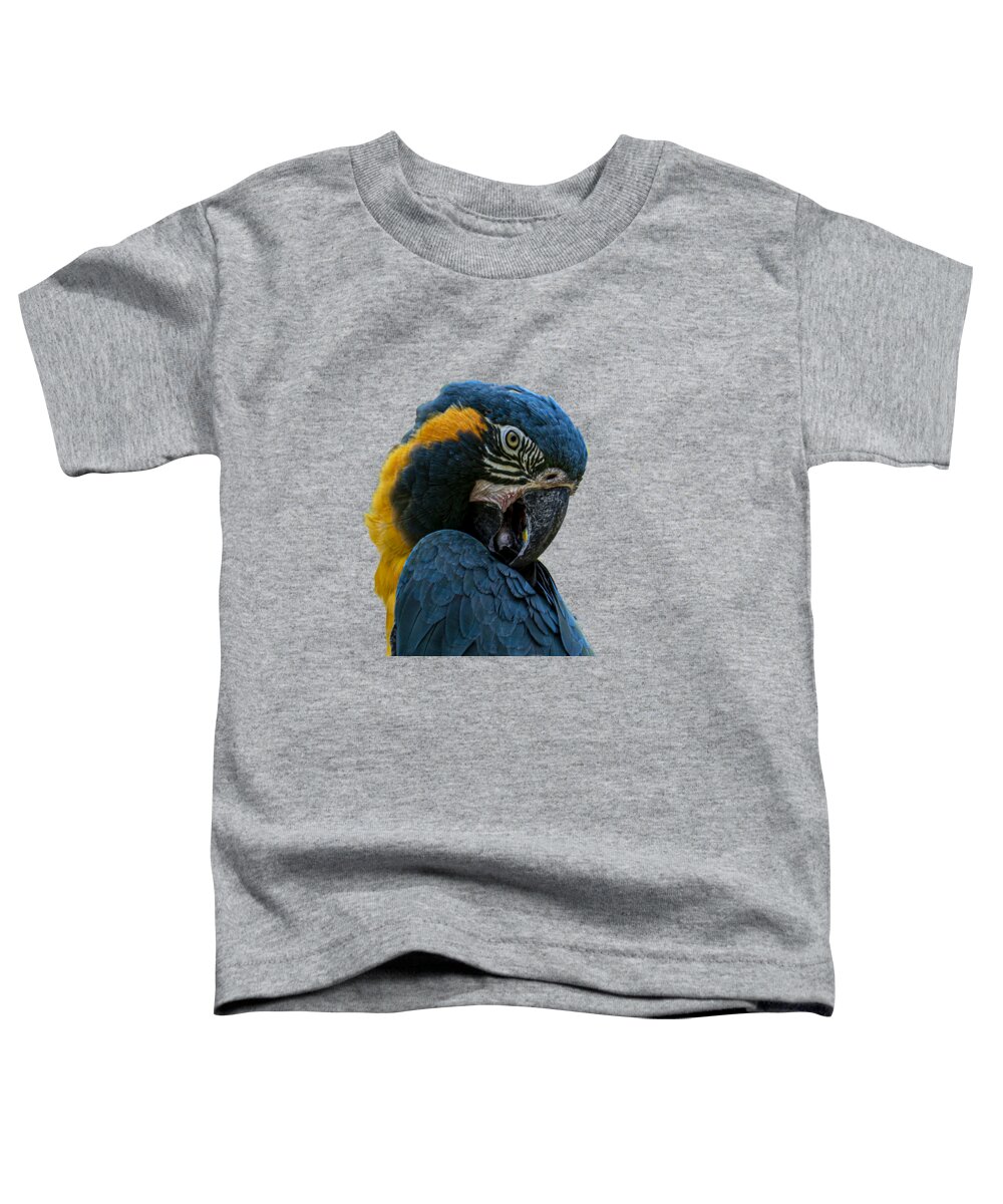 Blue Theoated Mac Caw Toddler T-Shirt featuring the photograph Blue Throated Mac Caw by Daniel Hebard