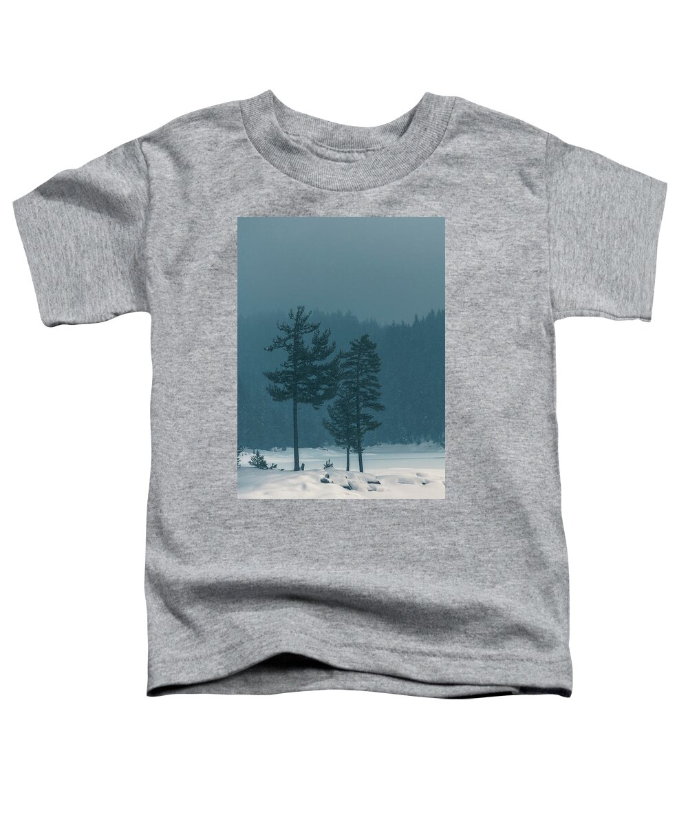 Bulgaria Toddler T-Shirt featuring the photograph Blue Winter Day by Evgeni Dinev