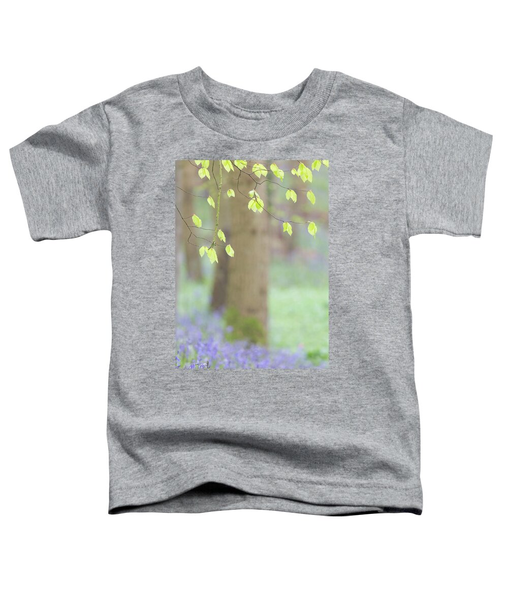 Bluebells Toddler T-Shirt featuring the photograph Bluebell flowers and beech tree leaves by Anita Nicholson