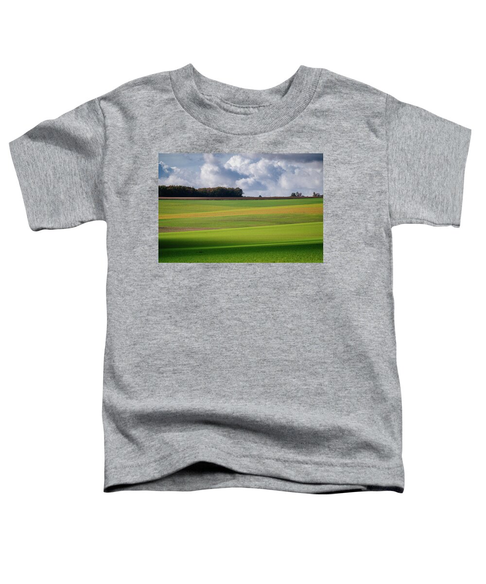 Agriculture Toddler T-Shirt featuring the photograph Bourgogne by Francesco Riccardo Iacomino