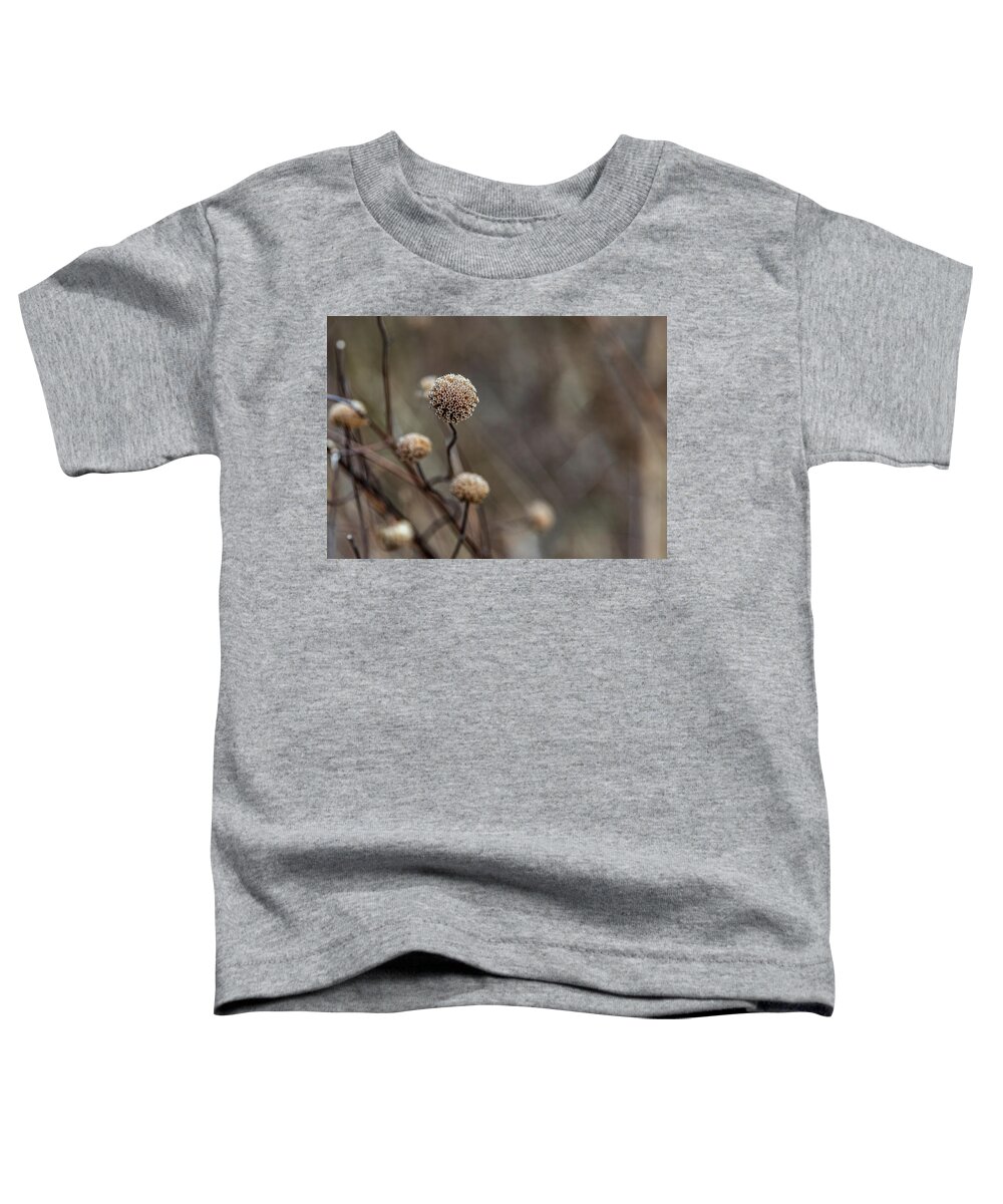 Flower Toddler T-Shirt featuring the photograph Brown Plants Closeup by Amelia Pearn
