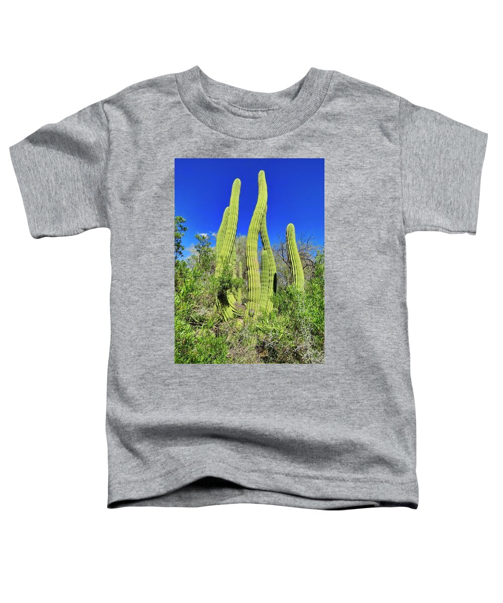 Icon Toddler T-Shirt featuring the photograph Cactus Sway by Judy Kennedy