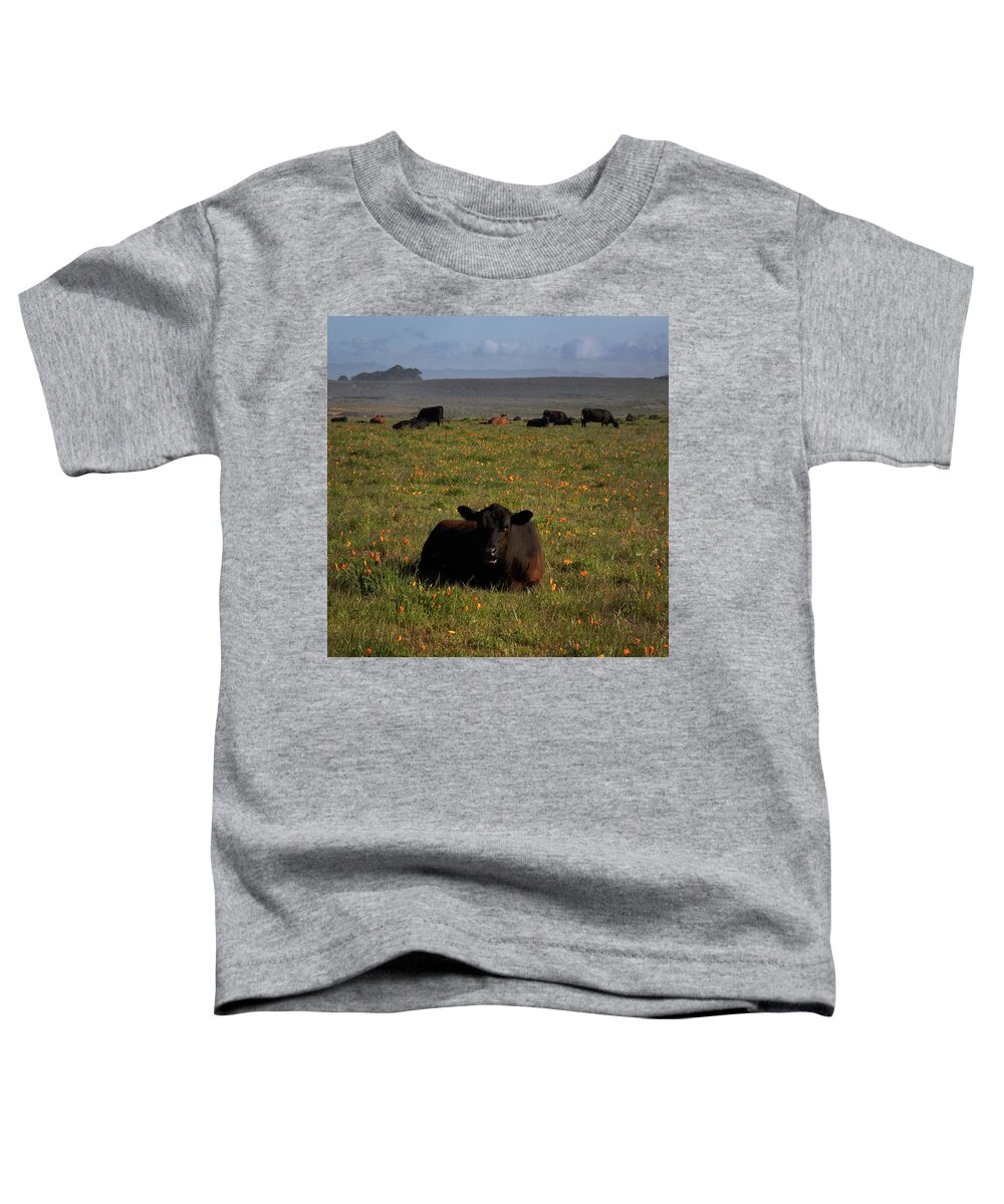 Calf Toddler T-Shirt featuring the photograph Calf on Poppies by Lars Mikkelsen