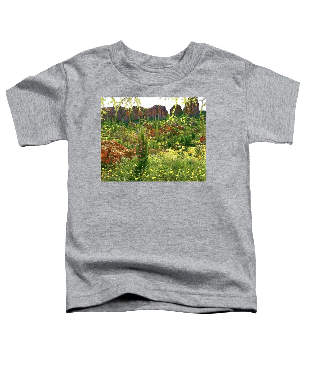 Cactus Toddler T-Shirt featuring the photograph CAN YOU FIND THE HUMMINGBIRD?, HORIZONTAL, Arizona by Don Schimmel