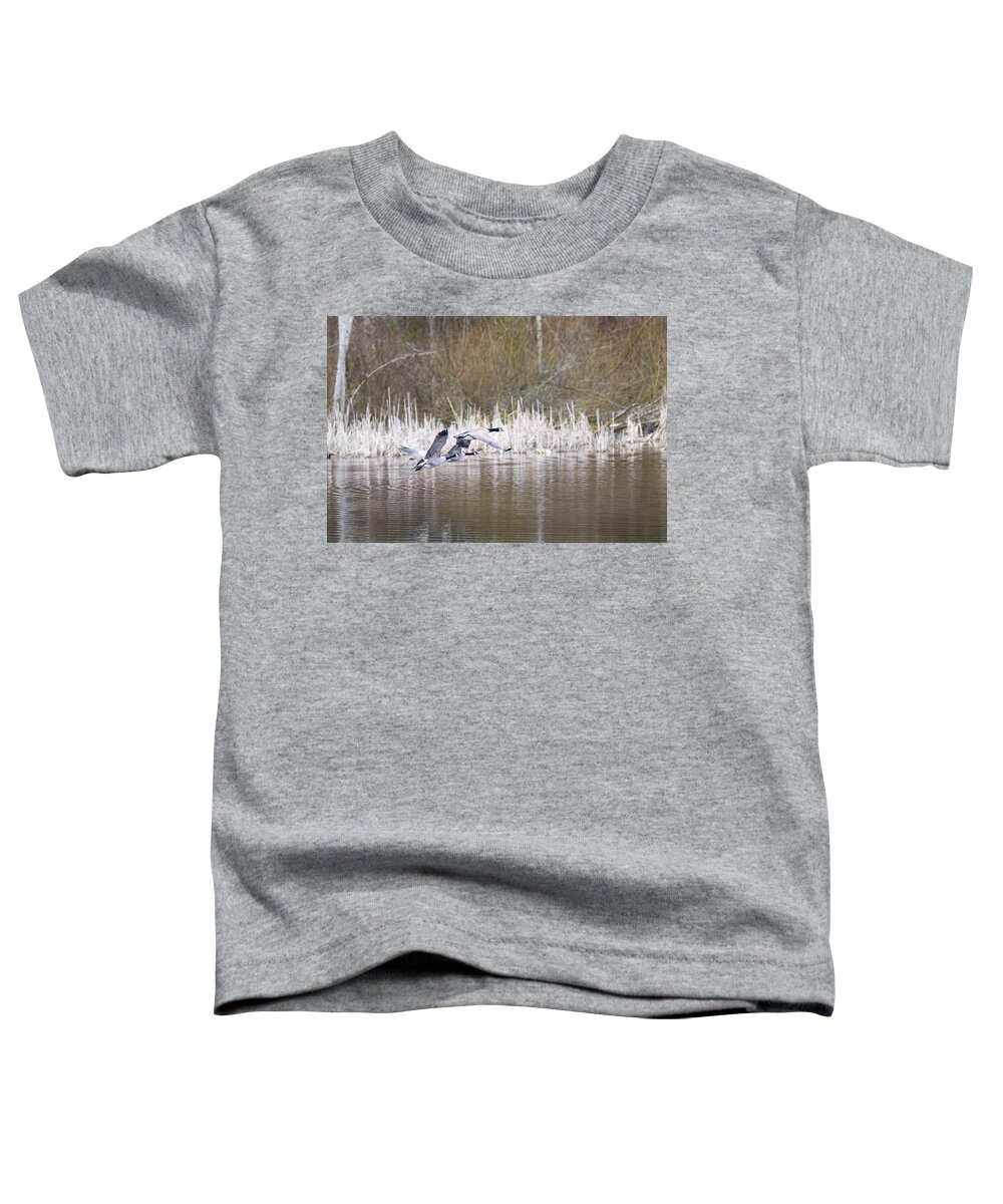 Geese Toddler T-Shirt featuring the photograph Canada Geese by Jerry Cahill
