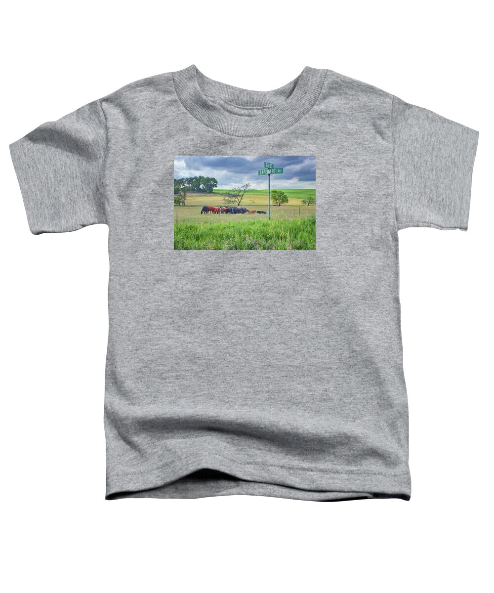Rural Toddler T-Shirt featuring the photograph Capehart and 96 St - Nebraska by Nikolyn McDonald