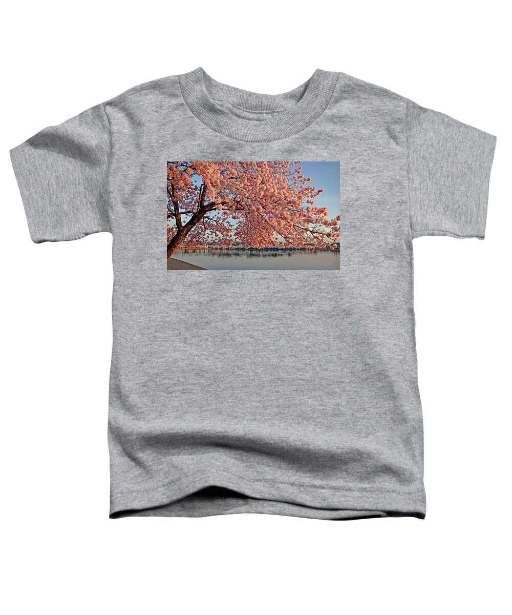 Cherry Blossom Trees Toddler T-Shirt featuring the photograph Cascade of Pink by Suzanne Stout