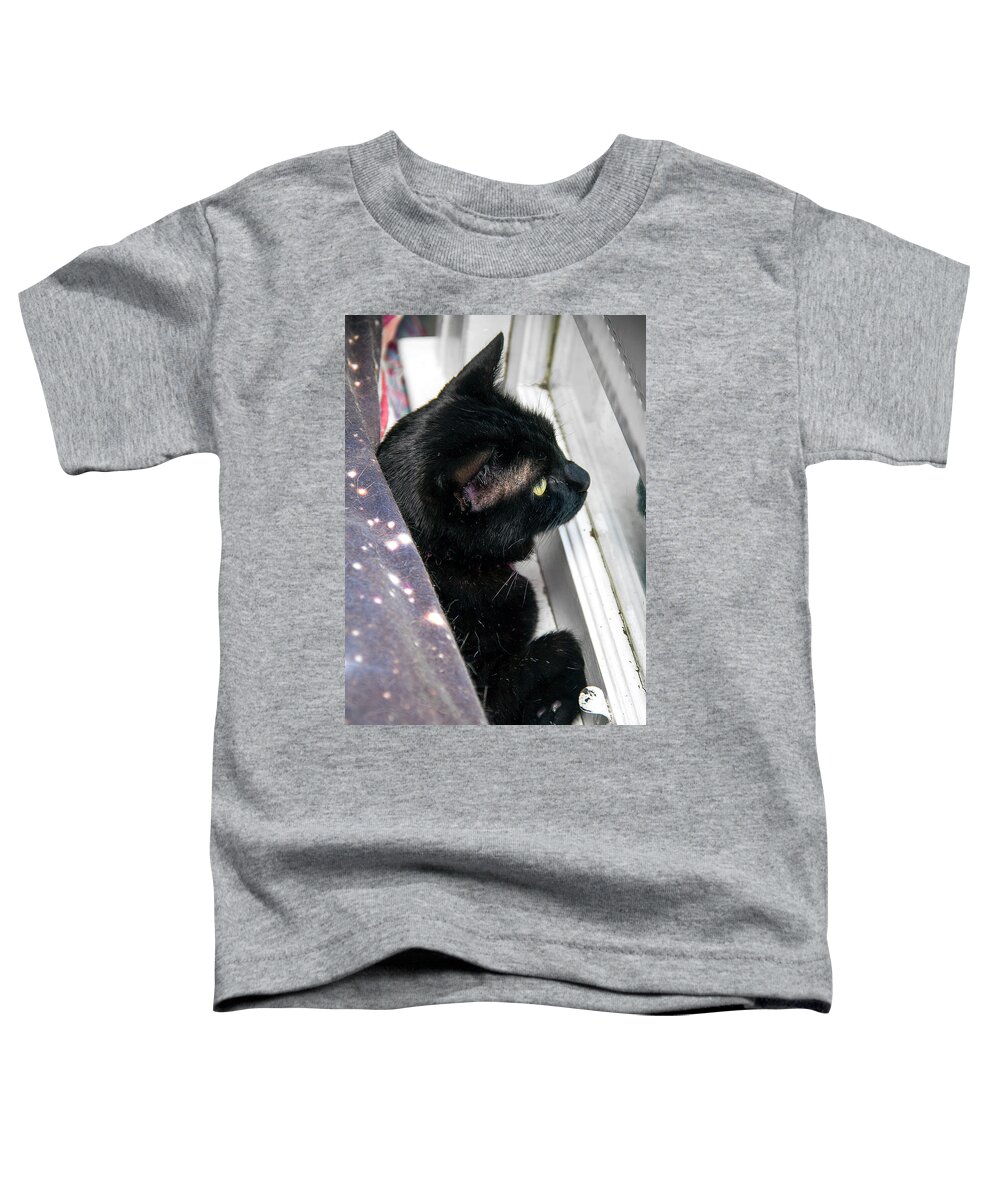 Photography Toddler T-Shirt featuring the photograph Cats #18 by Christopher W Weeks