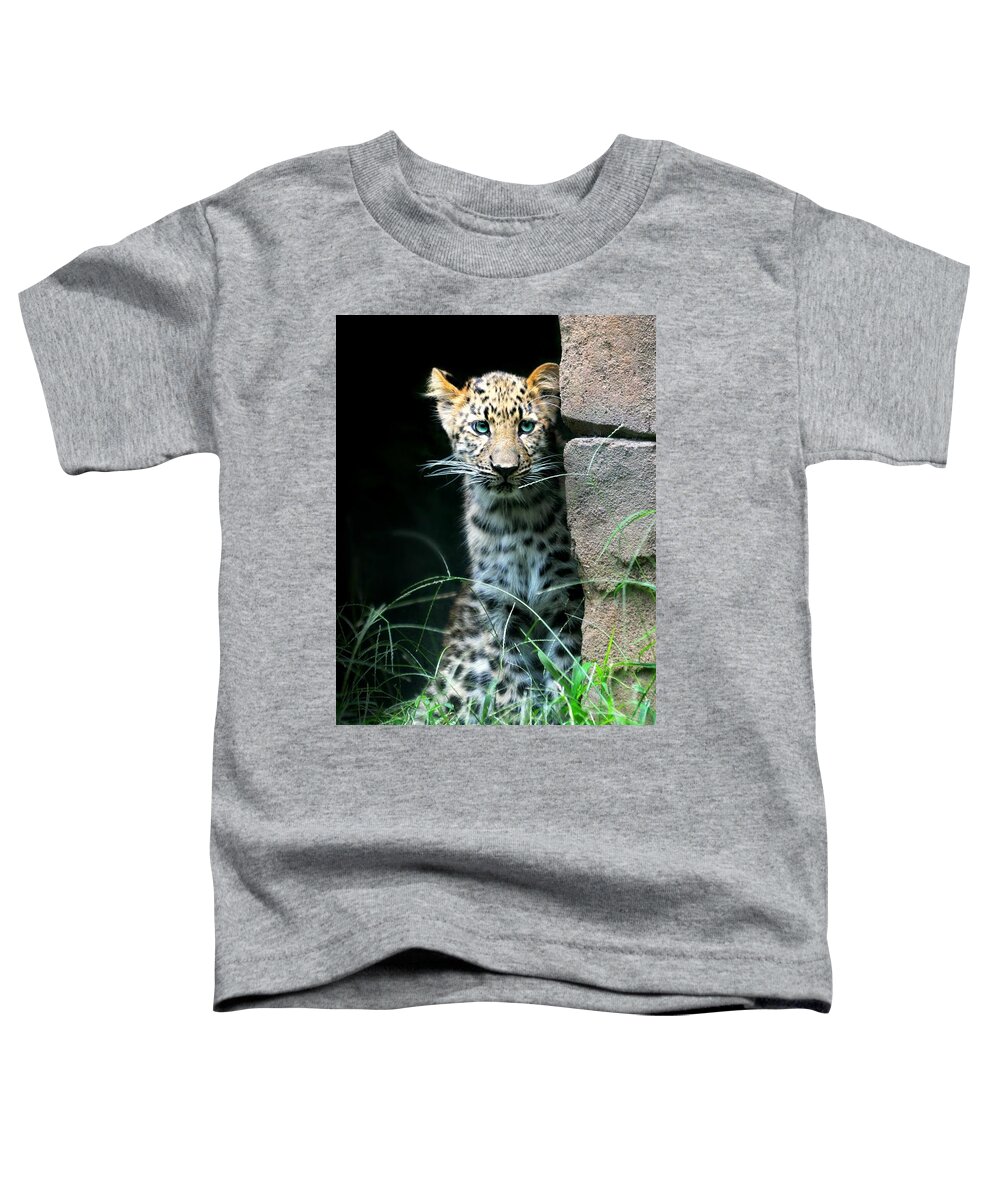 Leaopard Toddler T-Shirt featuring the photograph Cheetah Nice to Meetcha by Diana Angstadt