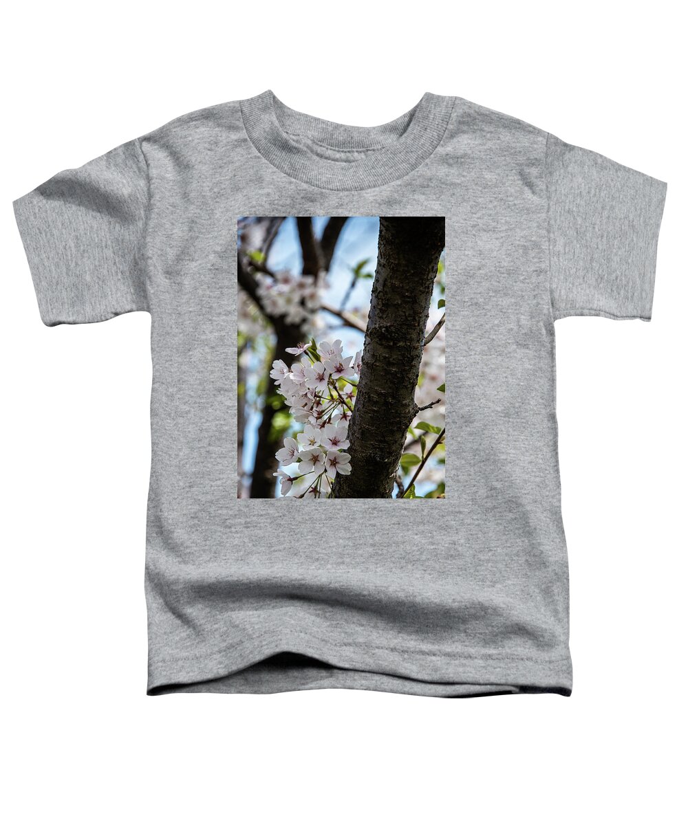 Cherry Blossoms Toddler T-Shirt featuring the photograph Cherry Blossoms - 22 by David Bearden