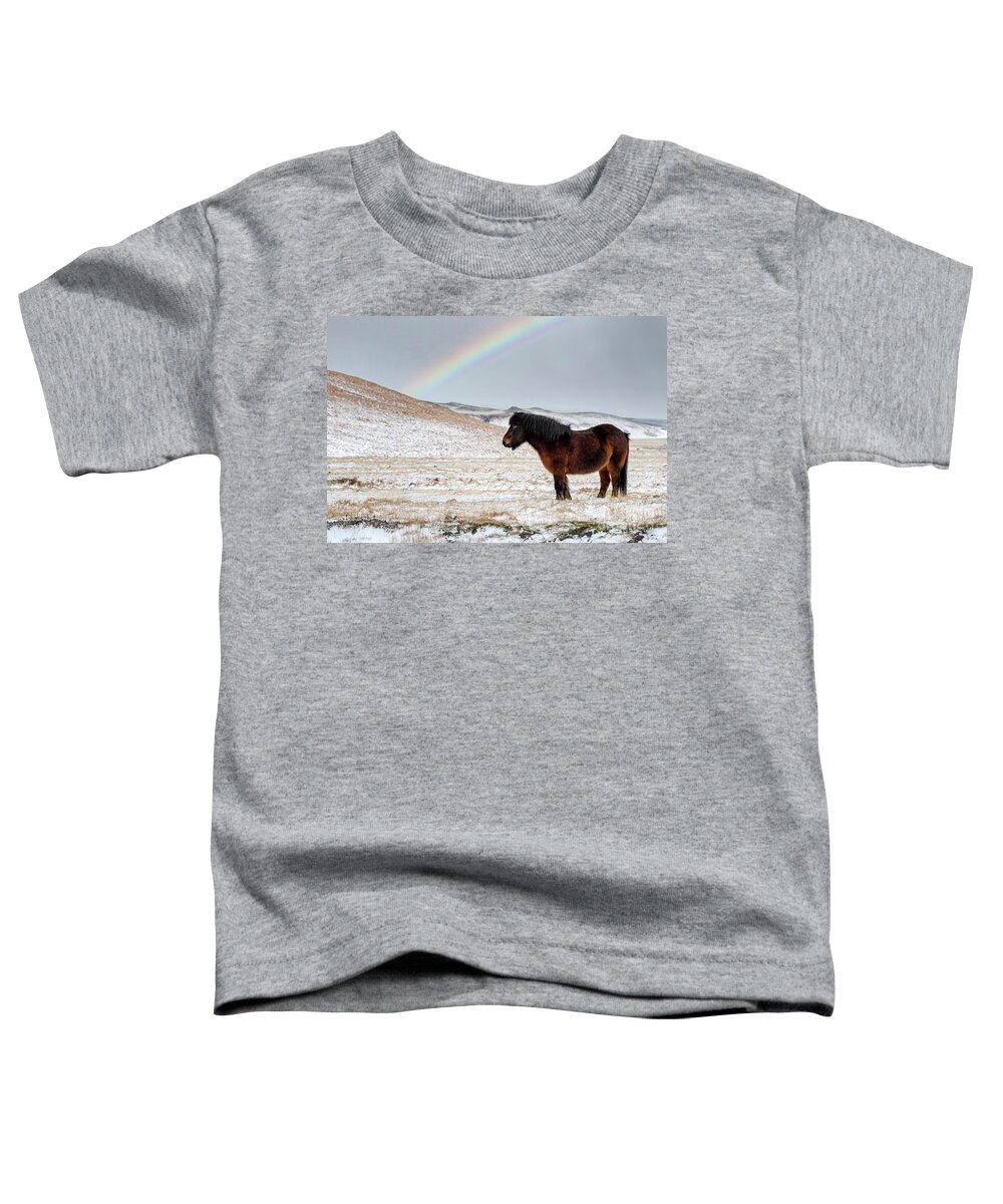 Farm Toddler T-Shirt featuring the photograph Chestnut Icelandic horse with rainbow by Jane Rix