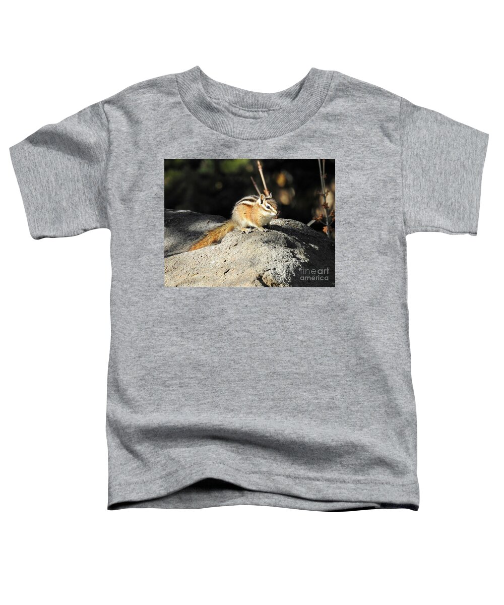 Chipmunk Toddler T-Shirt featuring the photograph Chipmunk by Nicola Finch