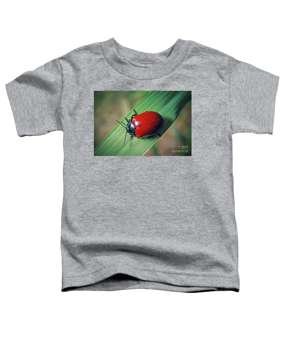 Photo Toddler T-Shirt featuring the photograph Chrysomela populi Leaf Beetle Insect by Frank Ramspott