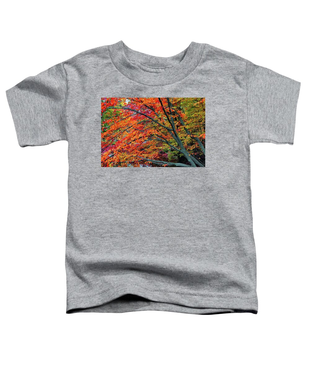 Autumn Toddler T-Shirt featuring the photograph Flickering Foliage by Jessica Jenney
