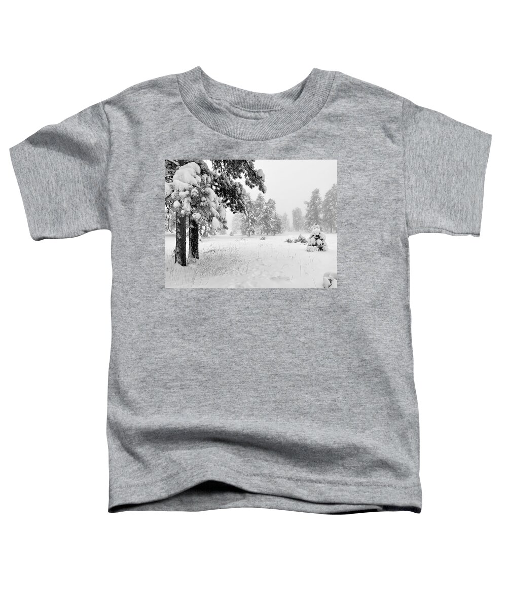 Dan Miller Toddler T-Shirt featuring the photograph Clash of the Seasons by Dan Miller
