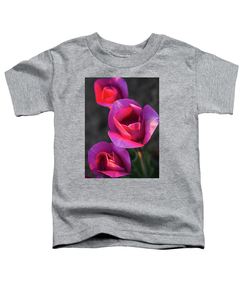 Tulips Toddler T-Shirt featuring the photograph Close Up by Michael Rauwolf