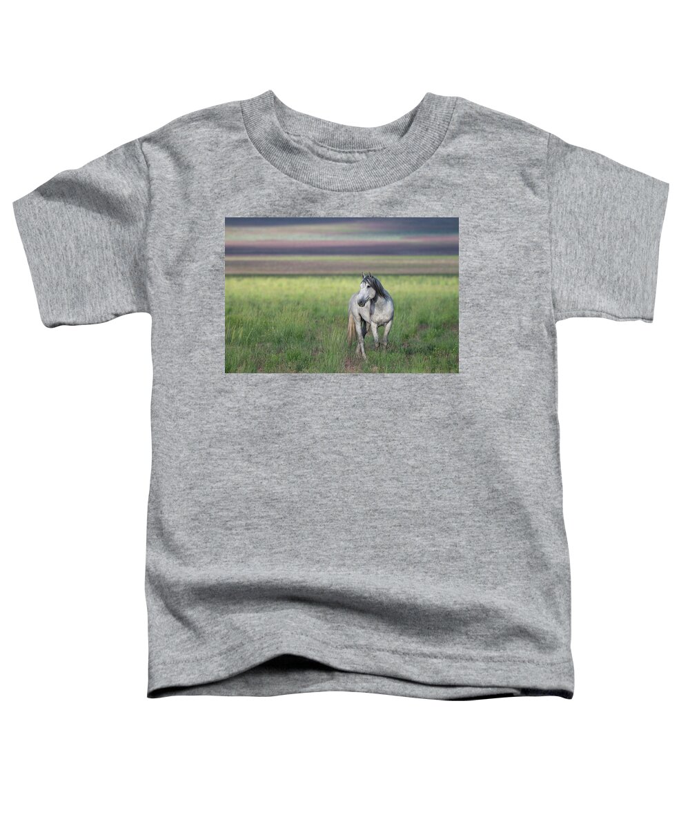 Wild Horse Toddler T-Shirt featuring the photograph Colors by Mary Hone