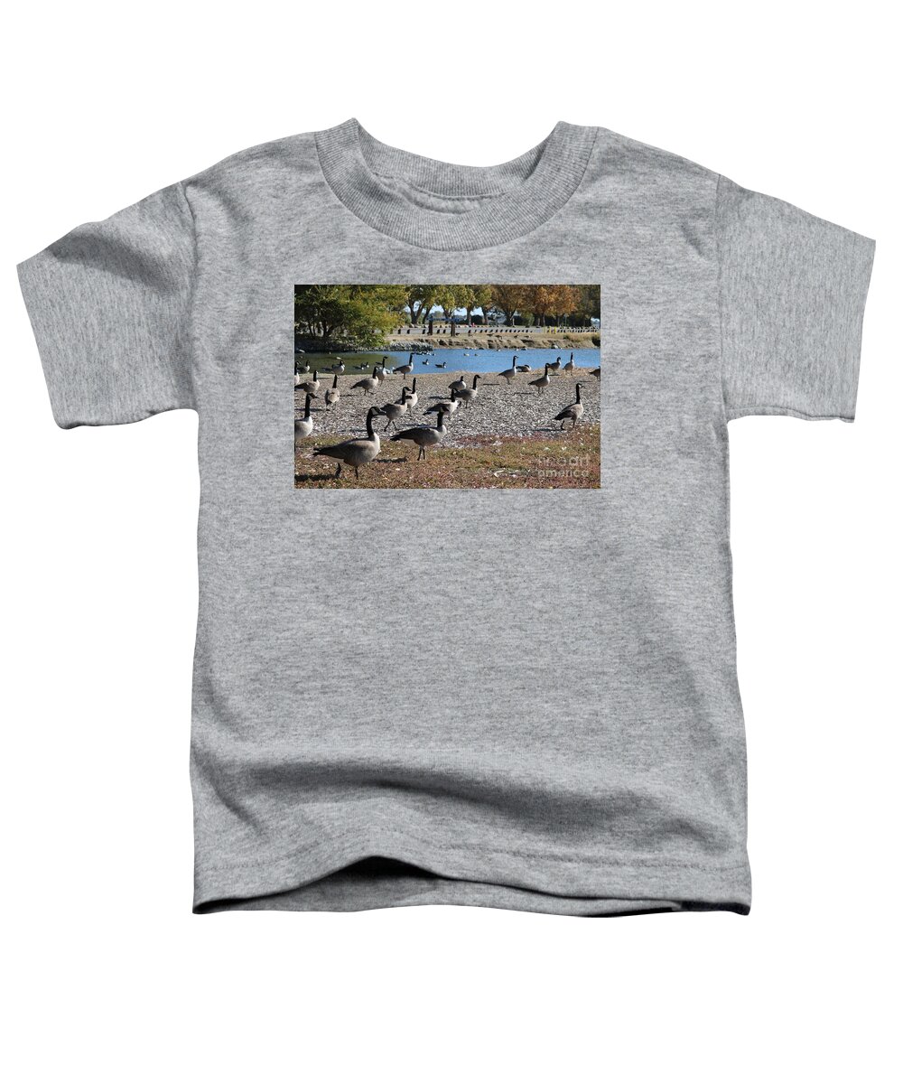 Geese Toddler T-Shirt featuring the photograph Columbia Park Geese by Carol Groenen