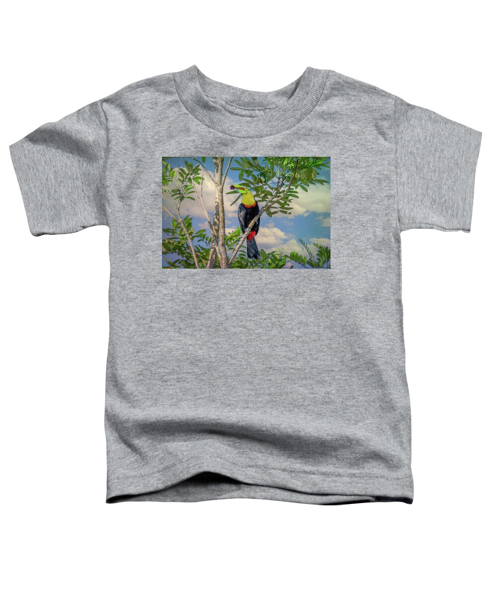  Toddler T-Shirt featuring the photograph Costa Rica Color by Marcy Wielfaert