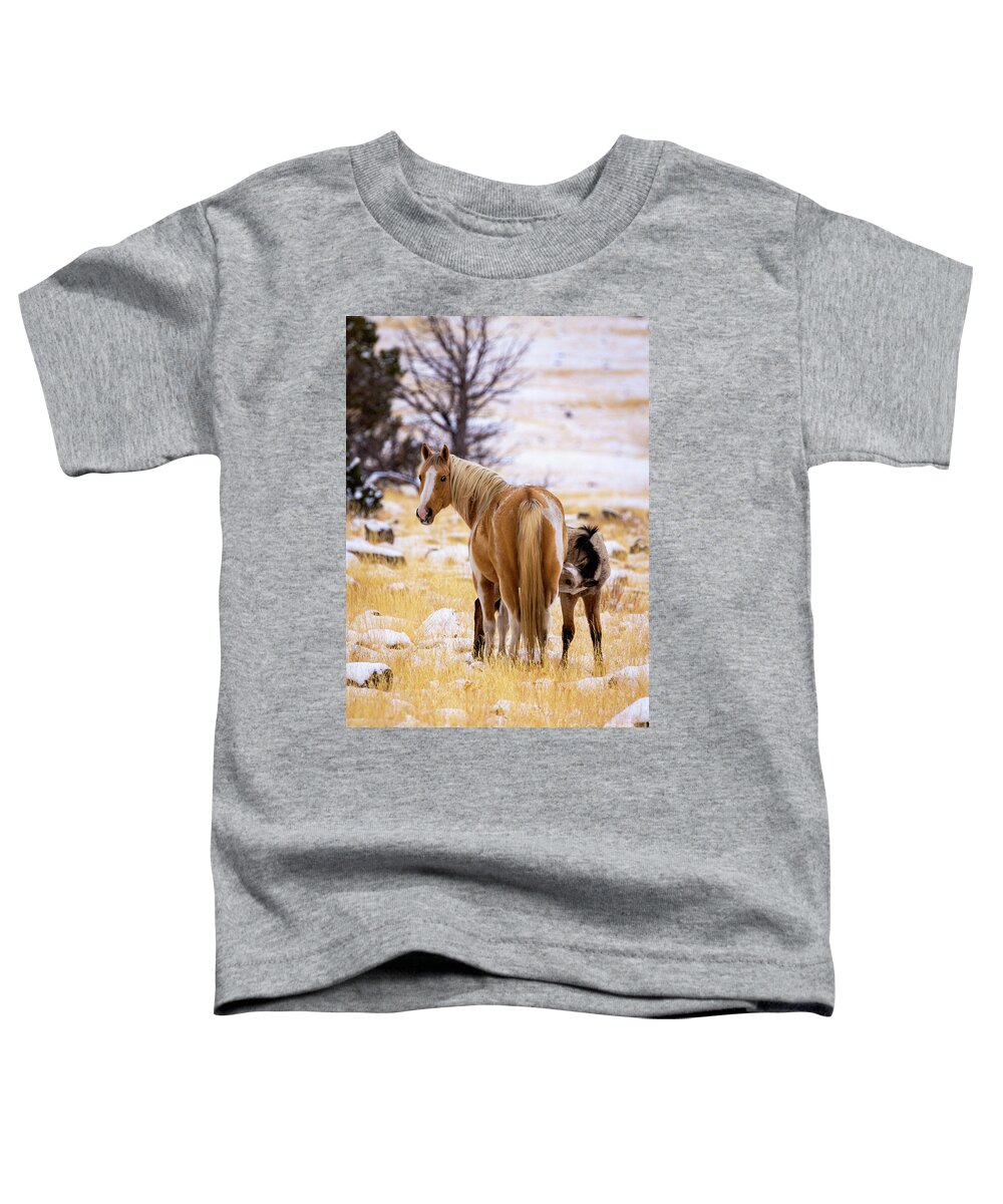 South Steens Mountains Wild Mustangs Toddler T-Shirt featuring the photograph Crede Mare and foal by Tami Boelter