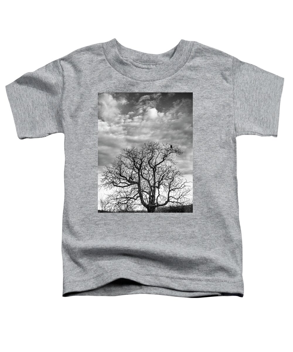 Crow Toddler T-Shirt featuring the photograph Crow by Tony Locke