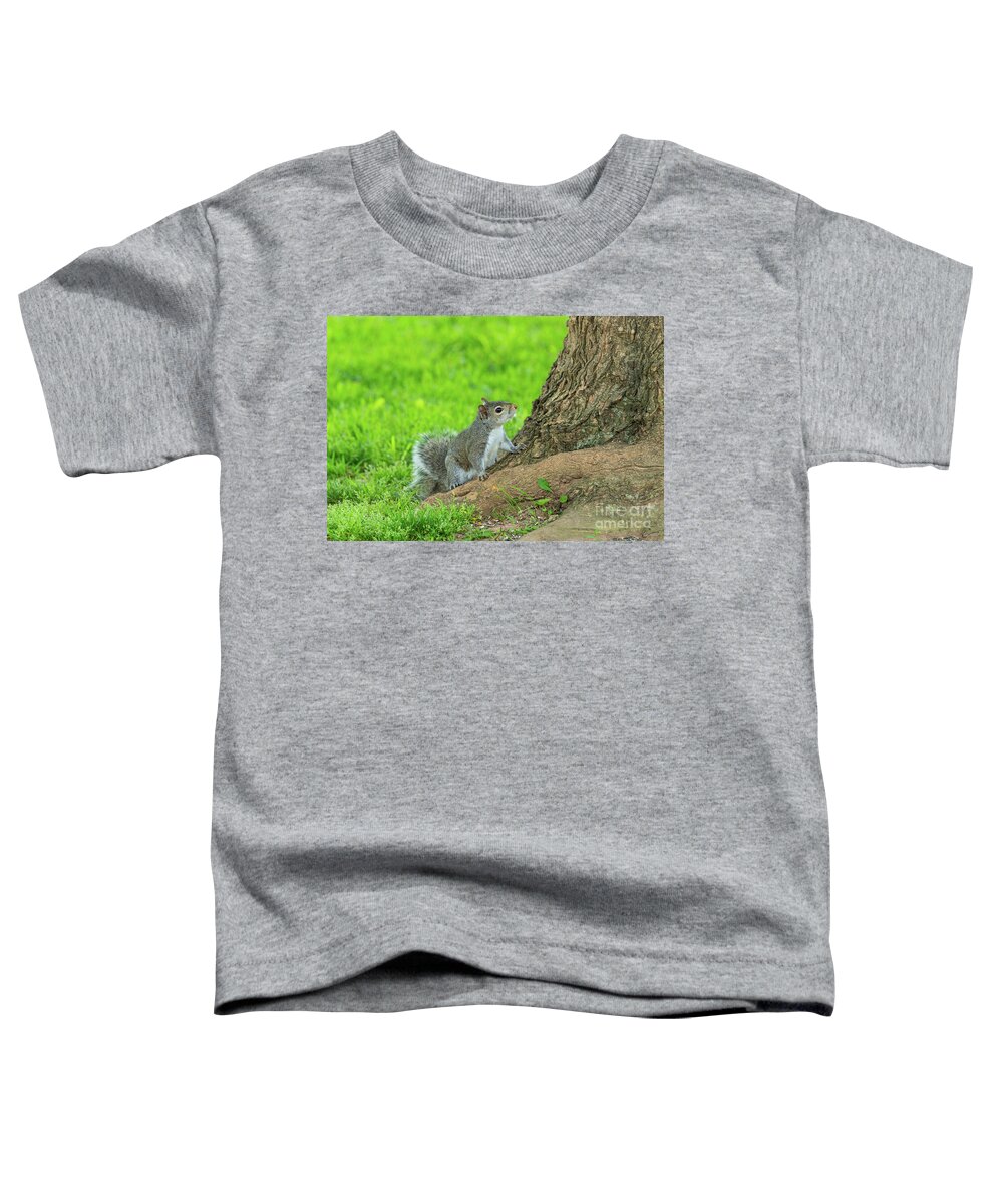 Eastern Gray Squirrel Toddler T-Shirt featuring the photograph Curious Eastern Gray Squirrel by Jennifer White