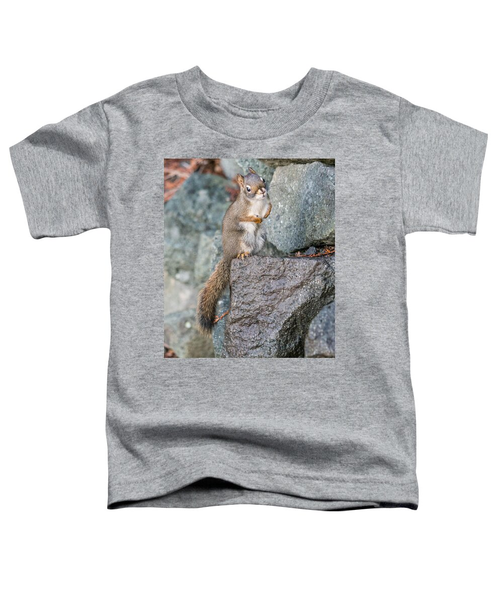 Red Squirrel Toddler T-Shirt featuring the photograph Curious Red Squirrel by Will LaVigne