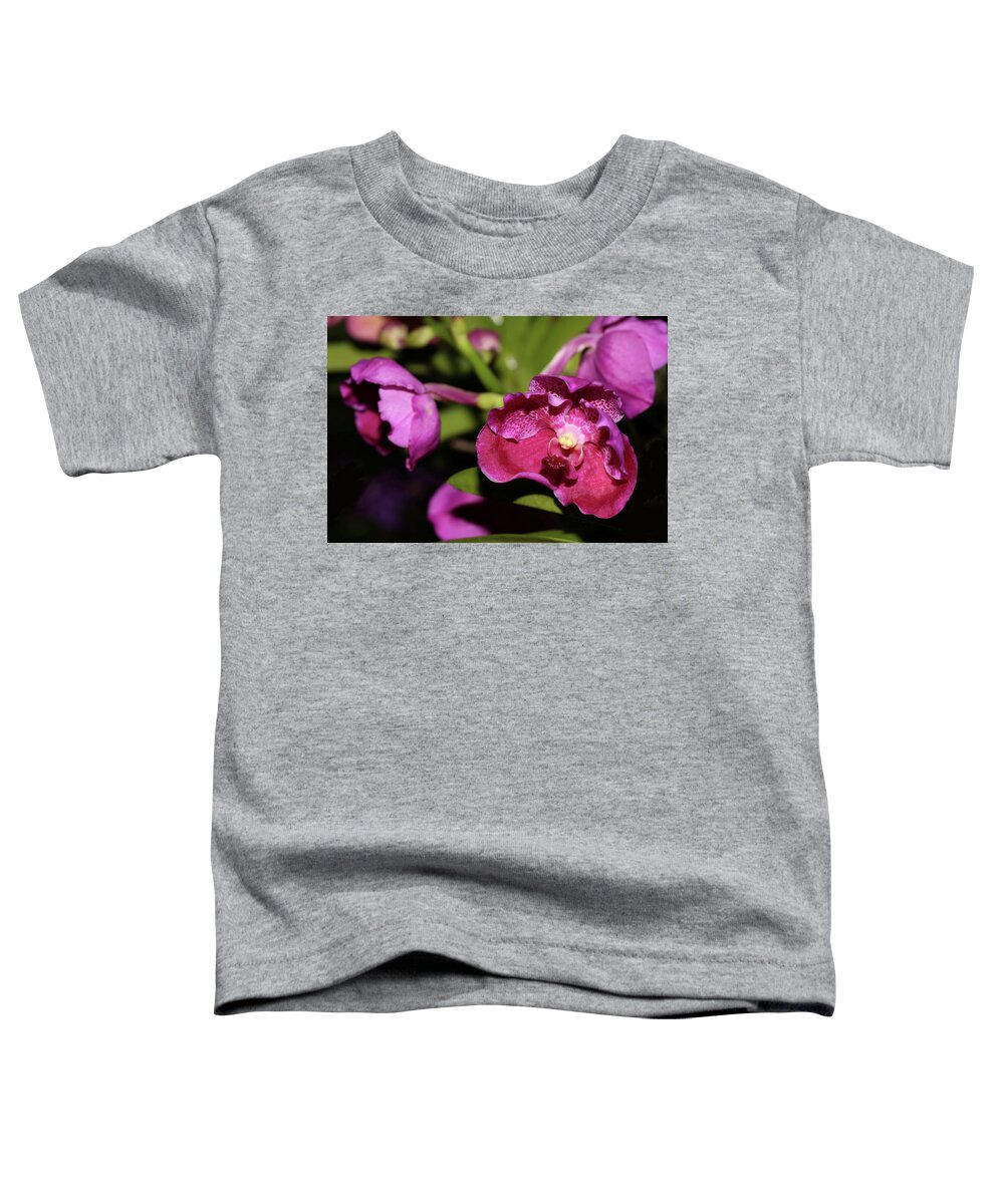 Orchid Toddler T-Shirt featuring the photograph Curled Orchids by Mingming Jiang