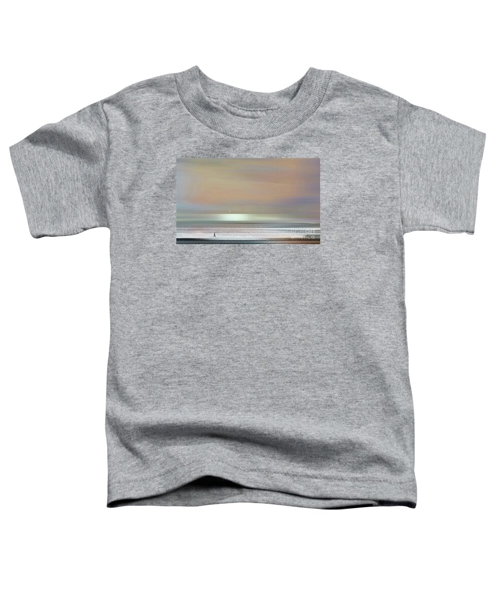 Coastal North Carolina Toddler T-Shirt featuring the digital art CURRITUCK BEACH NC- Fly Over by Zsanan Studio