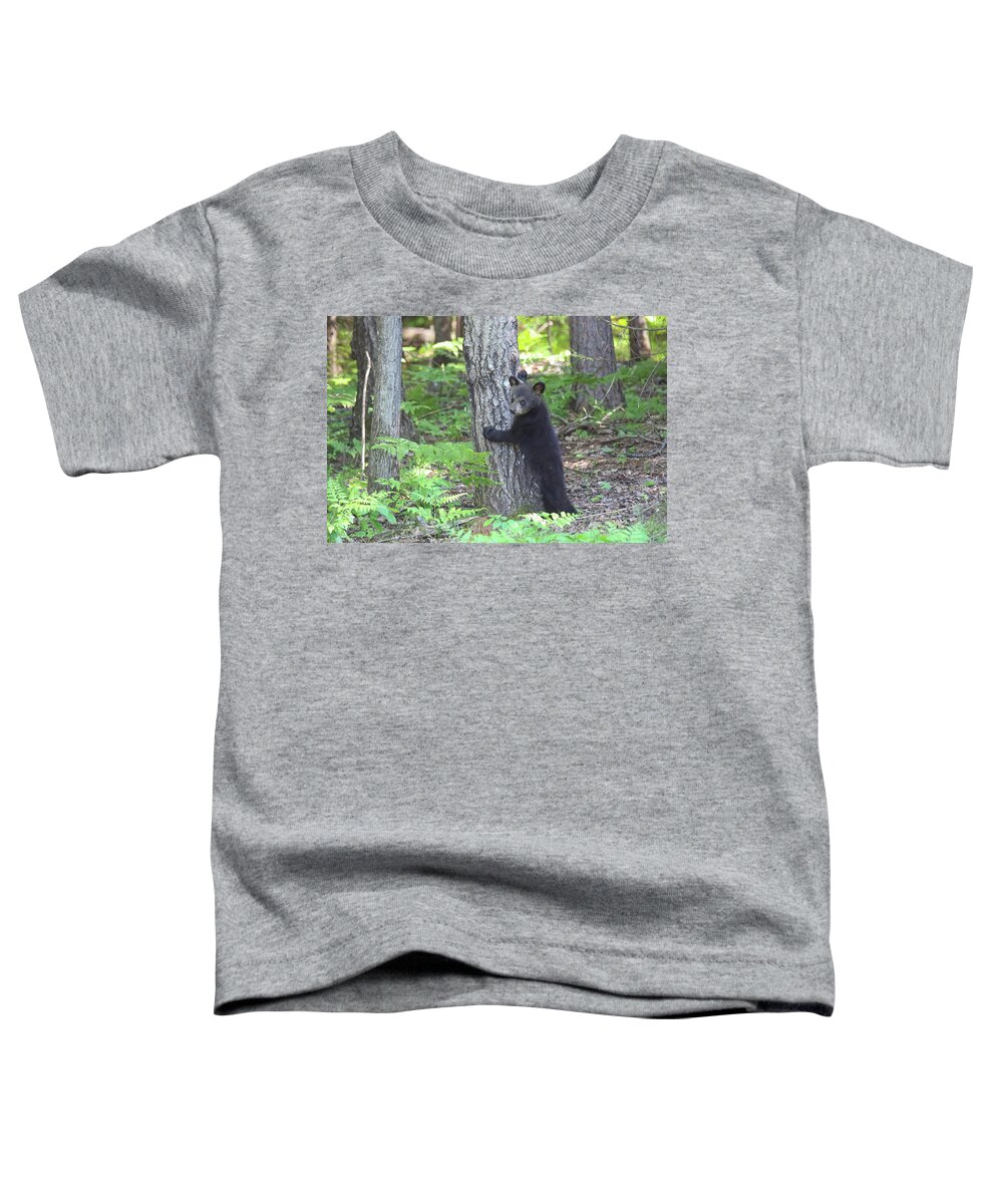 Black Bear Toddler T-Shirt featuring the photograph Cute Cub by Brook Burling