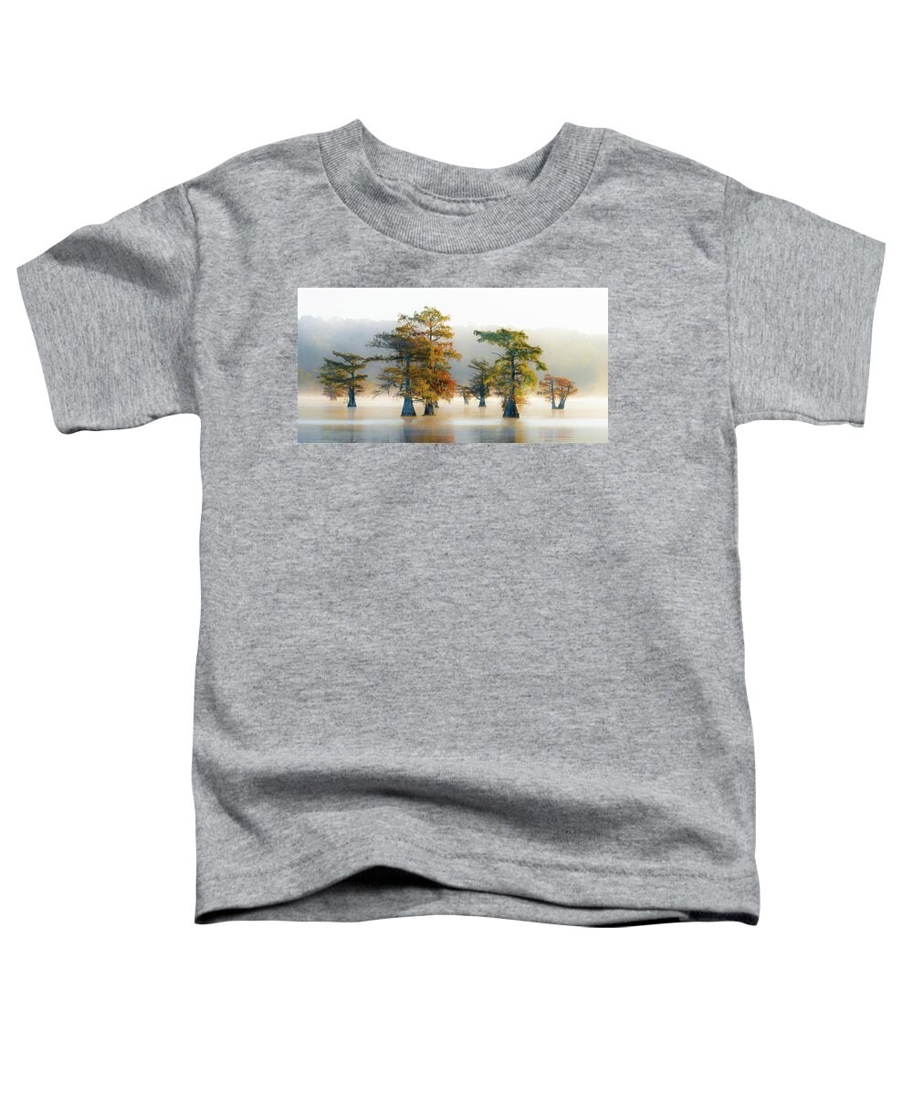 Benton Toddler T-Shirt featuring the photograph Cypress Morning by David Downs