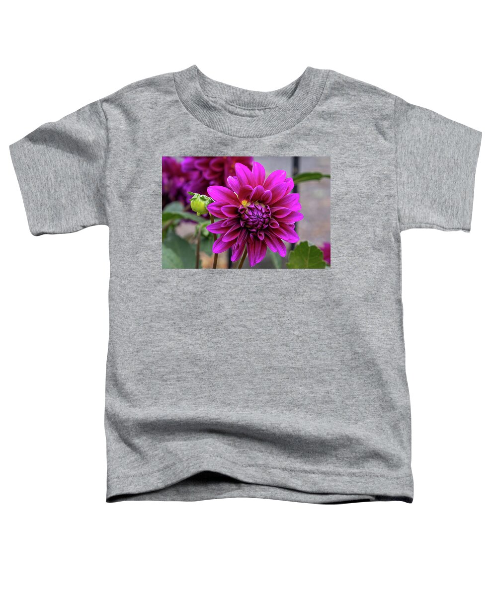 Flower Toddler T-Shirt featuring the photograph Dahlia and Bud by John Kirkland