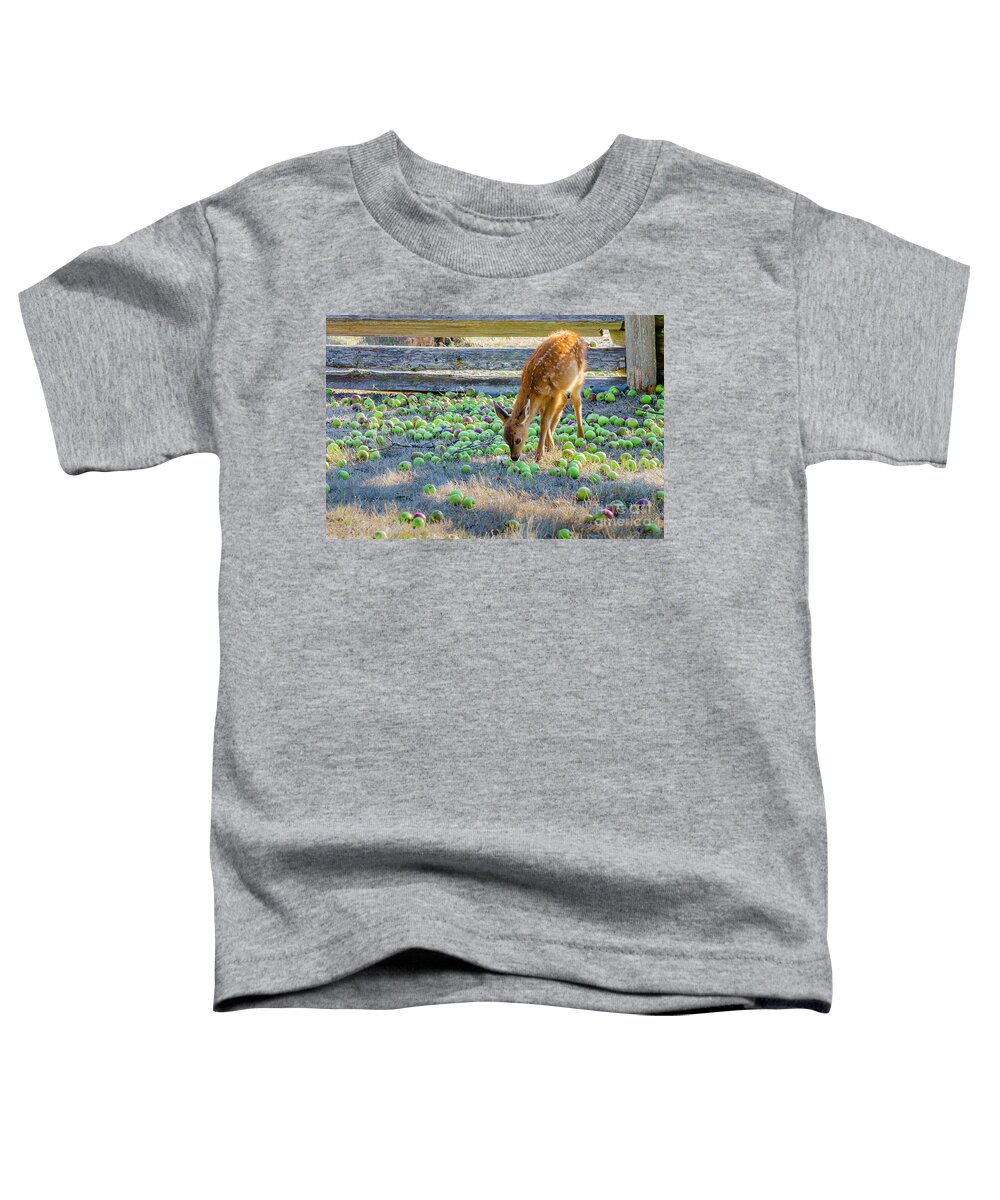 Ruckle Farm Toddler T-Shirt featuring the photograph Deer fawn in apple orchard by Michael Wheatley