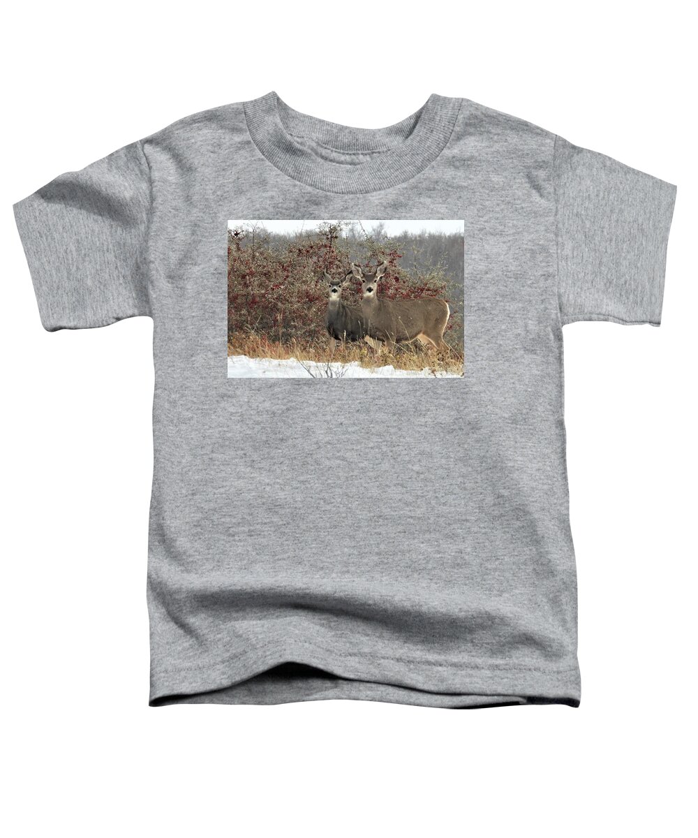 Mule Deer Toddler T-Shirt featuring the photograph Deer in the Buffalo Berries by Amanda R Wright