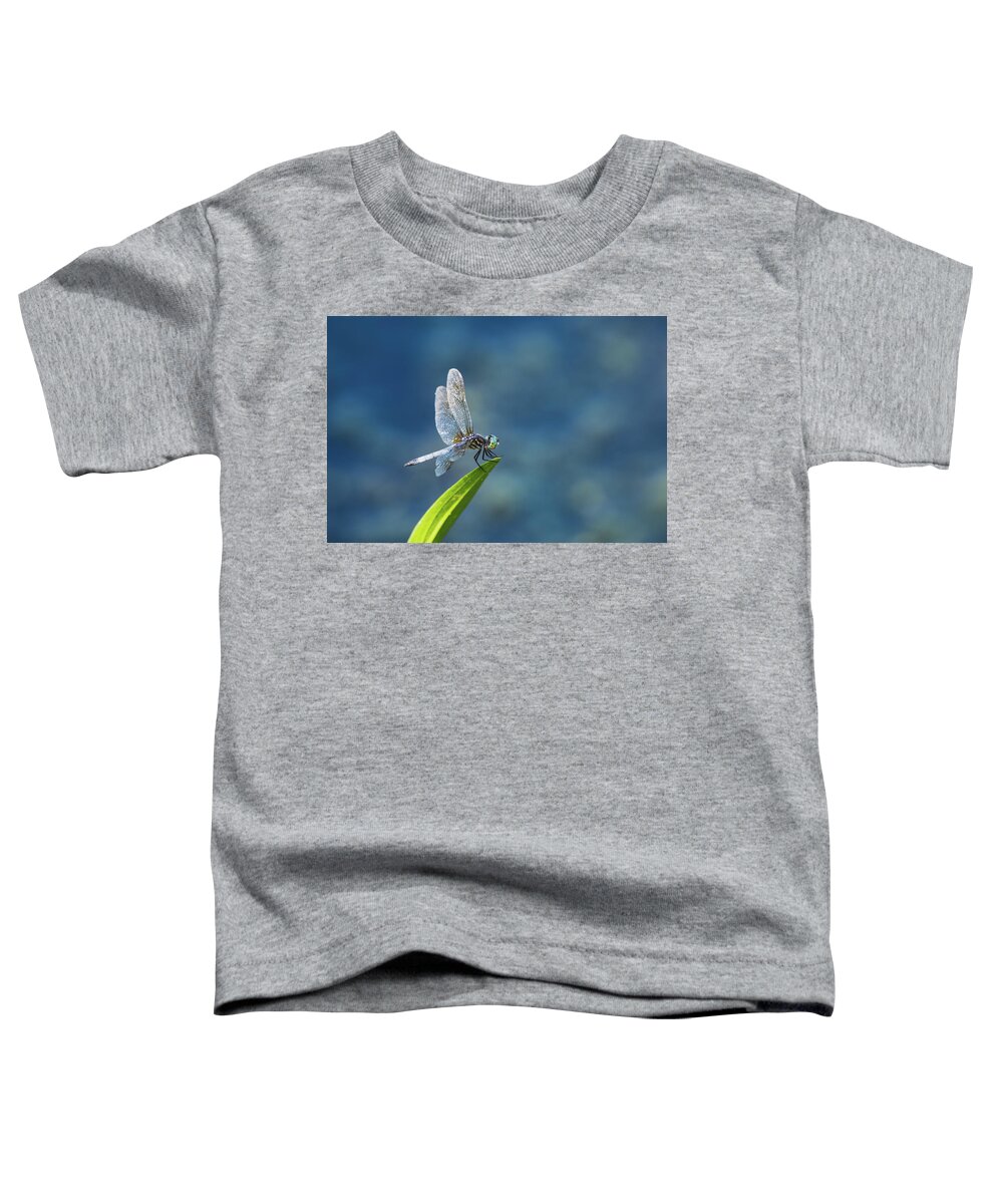 Dragonfly Toddler T-Shirt featuring the photograph Delicate Beauty by Rose Guinther