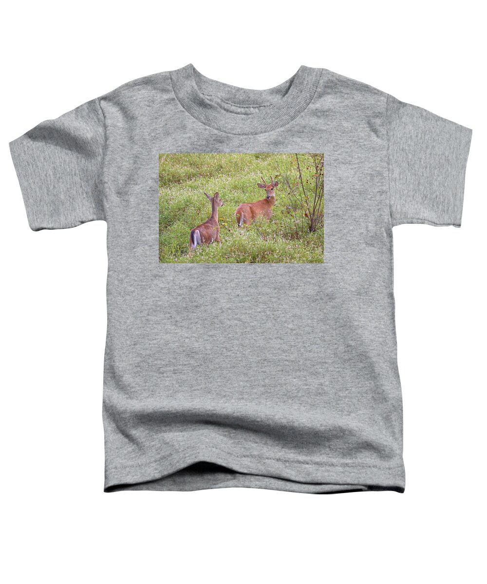 Whitetail Deer Toddler T-Shirt featuring the photograph Doe Eyed by Susan Rissi Tregoning