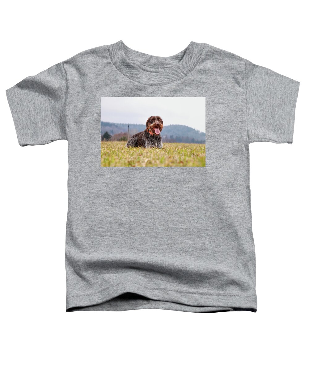 Bohemian Wire Toddler T-Shirt featuring the photograph Bohemian Wire is relaxing by Vaclav Sonnek