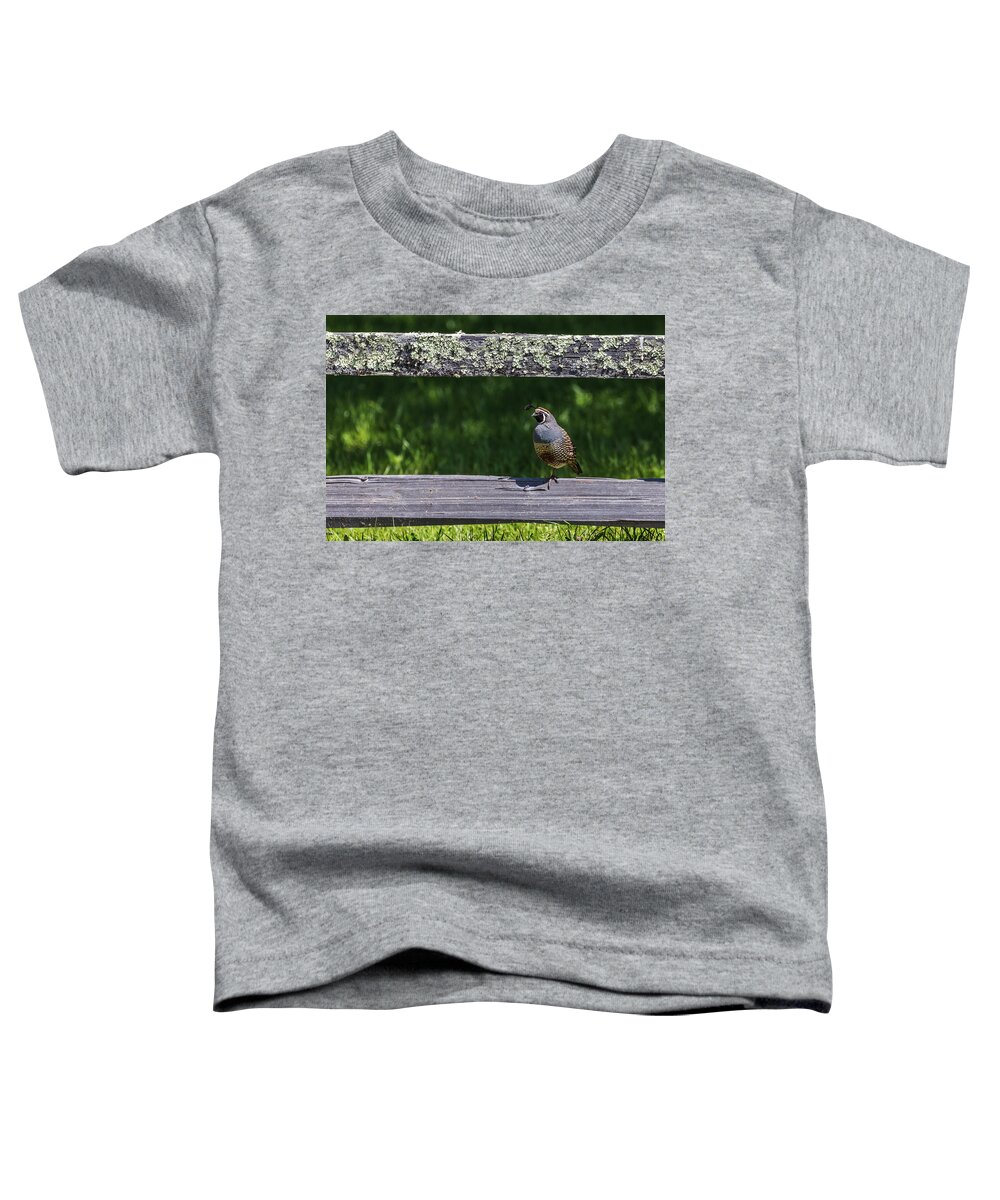 Bird Toddler T-Shirt featuring the photograph Don't Fence Me In by Laura Roberts