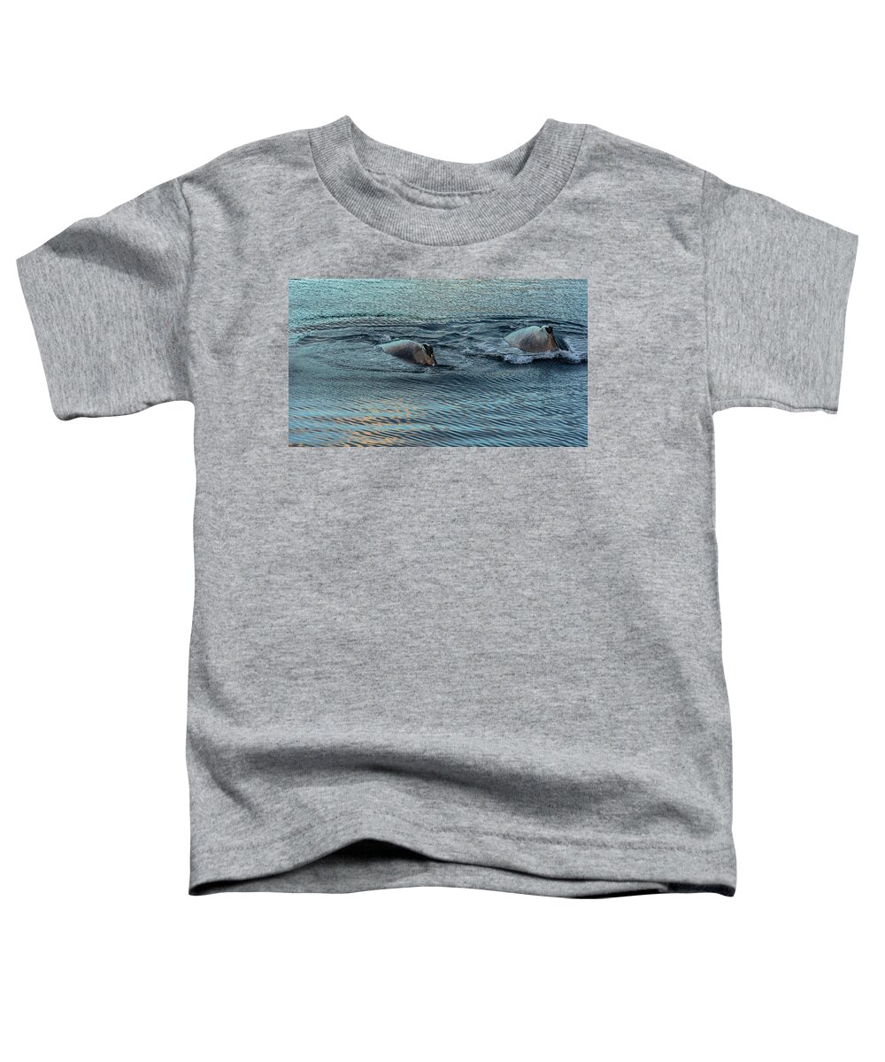 Alaska Toddler T-Shirt featuring the photograph Double Hump Alaska by Nicholas McCabe
