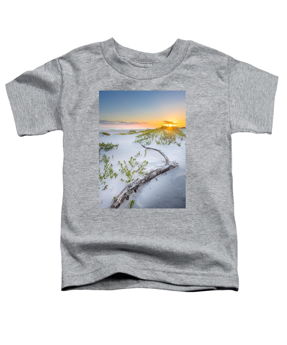 Beach Toddler T-Shirt featuring the photograph Driftwood At The Gulf Islands National Seashore Florida by Jordan Hill