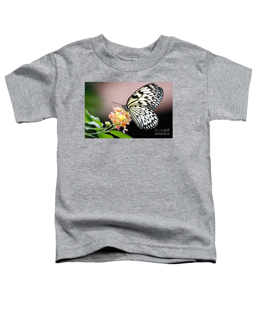 Butterfly Gardens Toddler T-Shirt featuring the photograph Drink Up by Kimberly Furey