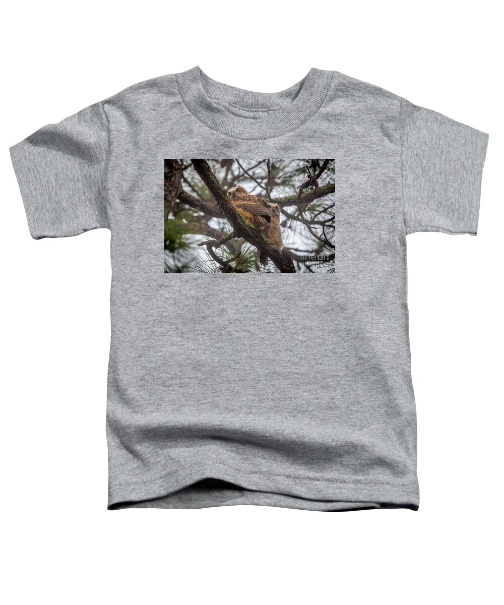 Owl Toddler T-Shirt featuring the photograph Dual Juvenile Owls by Tom Claud
