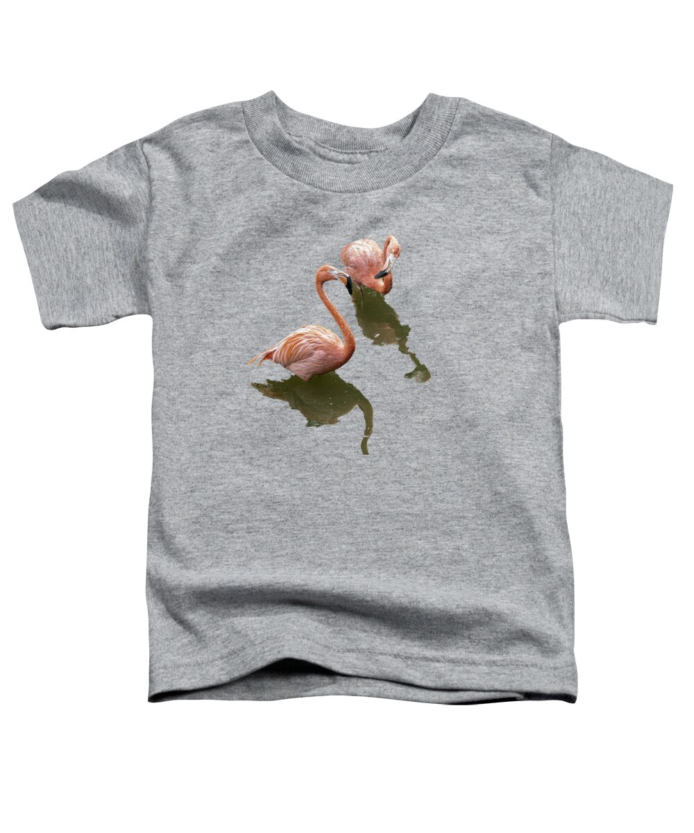 Duelling Flamingo Png Toddler T-Shirt featuring the photograph Duelling Flamingfos PNG by Daniel Hebard